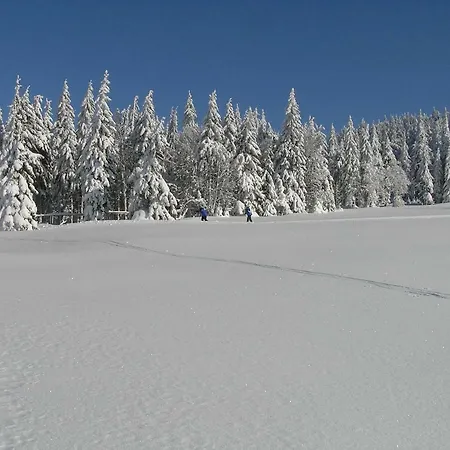 Horská chata Pod Klinovcem *